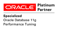 Oracle Database Specialized Performance Tuning