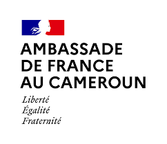 Ambassade de france